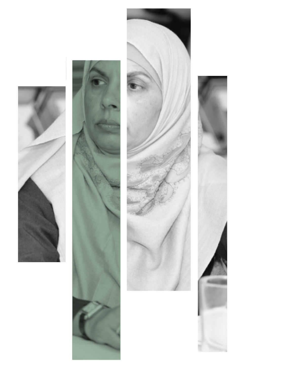 ntt rukhsana fazal